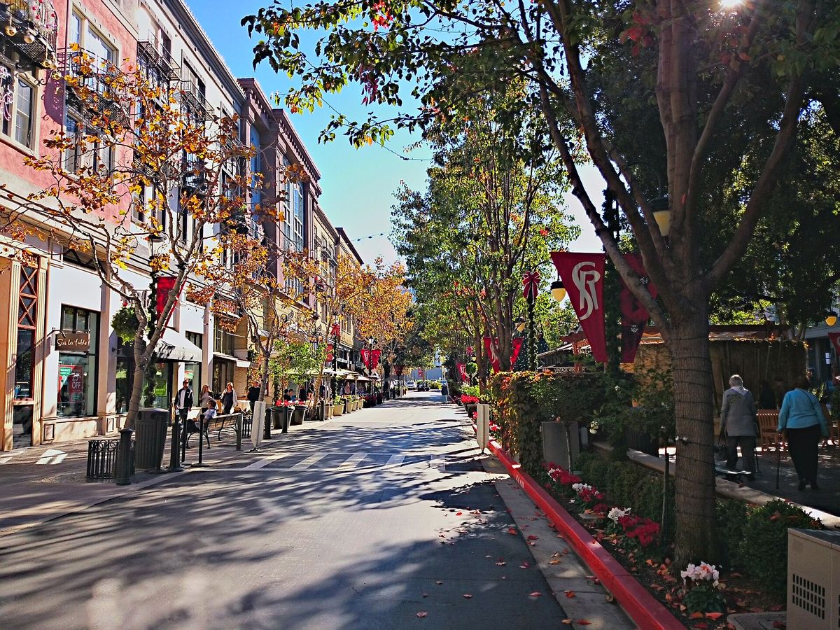 A tree-lined stretch of Santana Row with shops under apartments and red-curbed planters