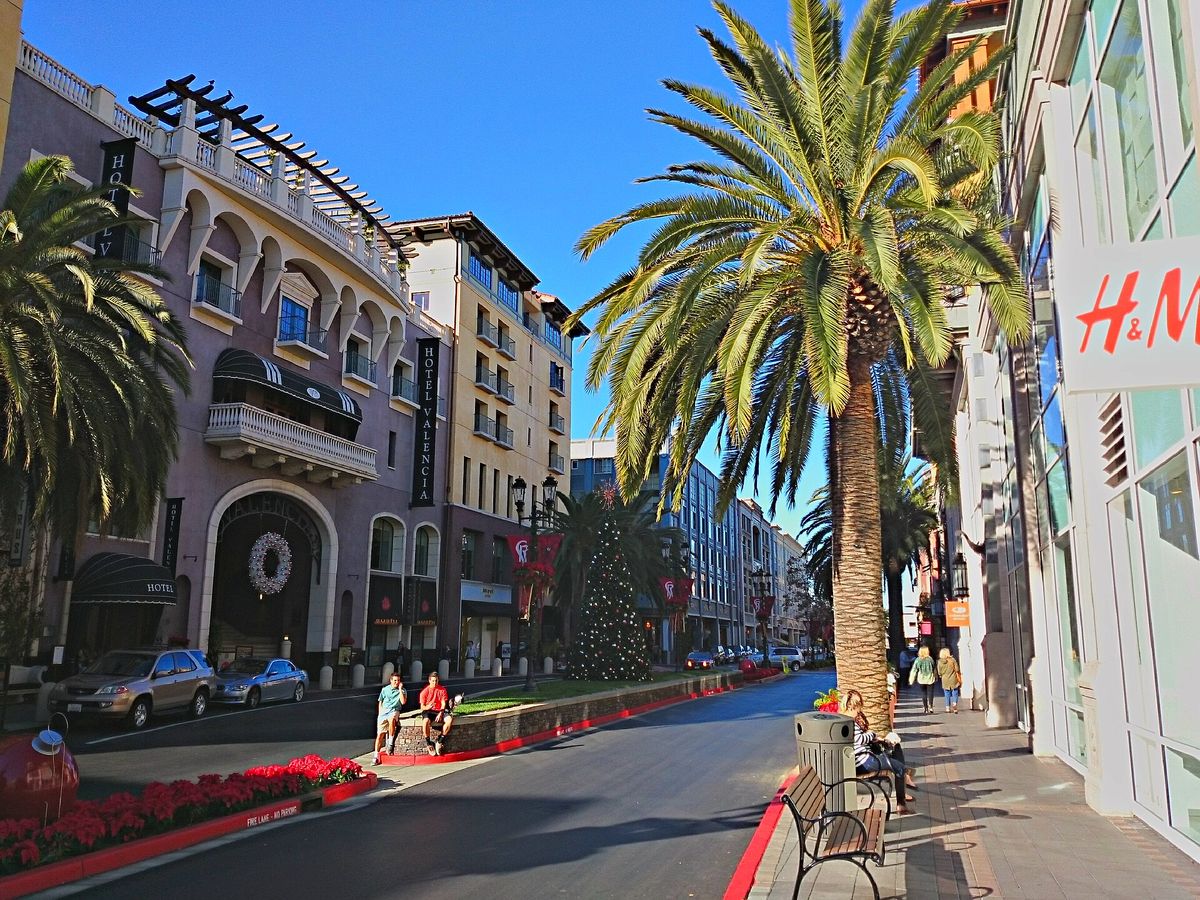 Palm trees along Santana Row in front of Hotel Valencia